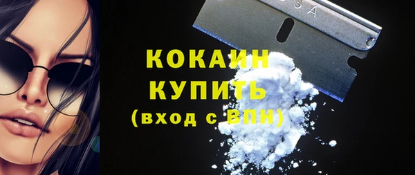 стафф Аркадак